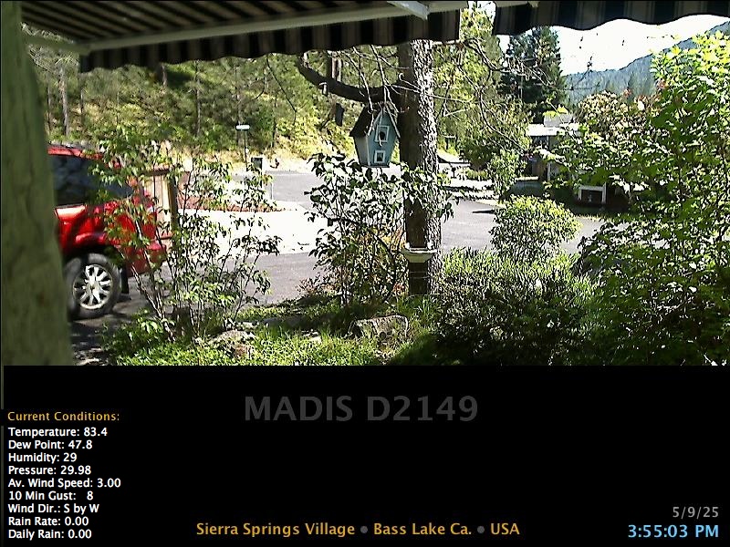 LIVE Webcam Link